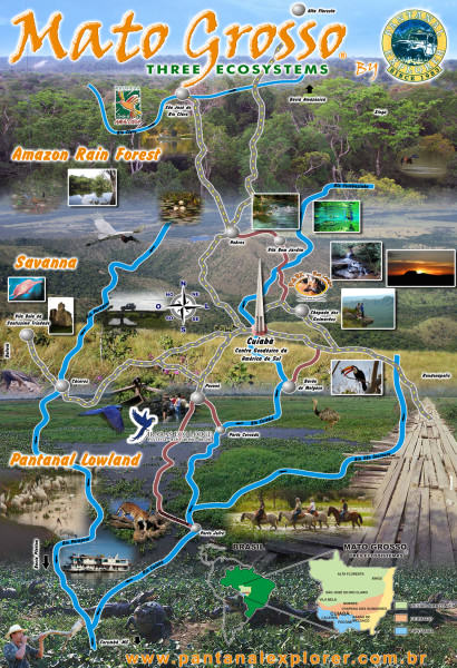 Ekosystemy w Mato Grosso źródło: http://araraslodge.com.br/index.php?option=com_content&view=article&id=124%pantanal-pousada-araras-04-noites-al-31&catid=124:tours-e-estadias&Itemid=124&lang=en