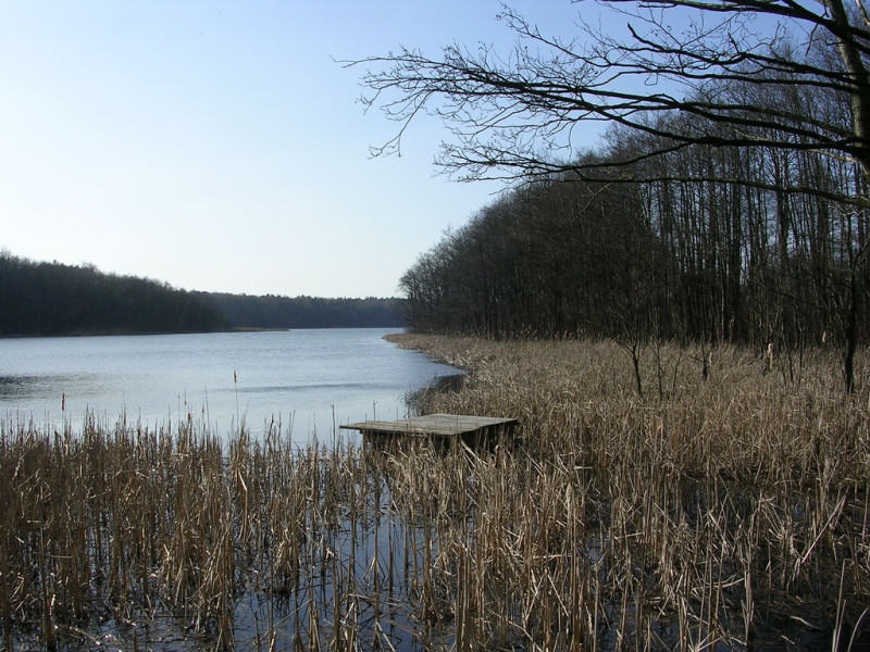 Jezioro Strzeszyńskie | fot. Tomasz Przechlewski | źródło: flickr.com | lic. CC-BY 2.