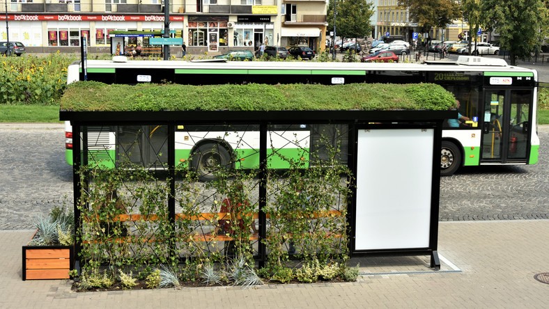 Zielone przystanki w Białymstoku